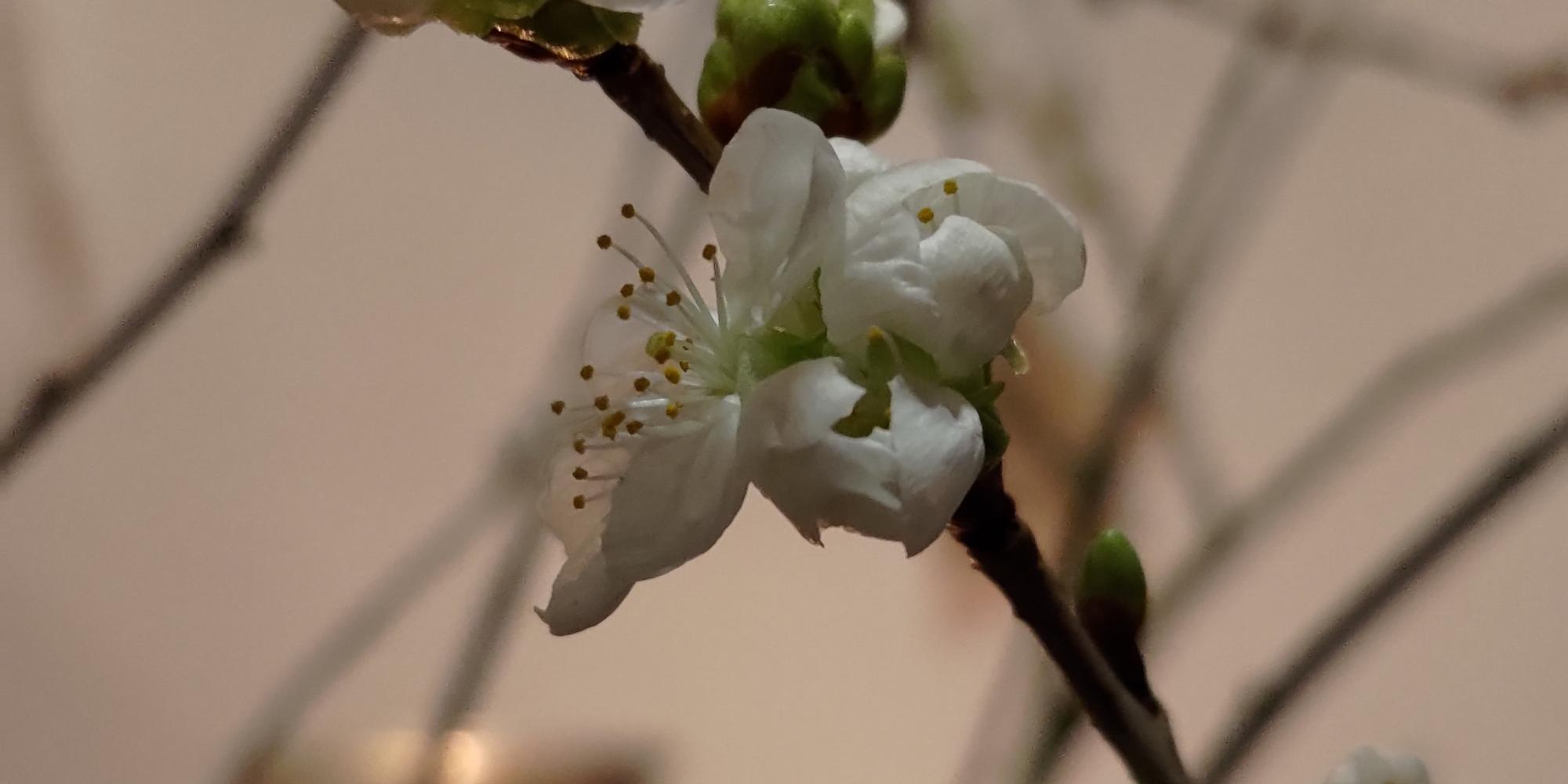 P_20211226_195734_by_Christian-Schmitt_pfarrbriefservice